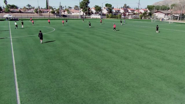 Ocelot Academy  2010 vs tricolor 2010