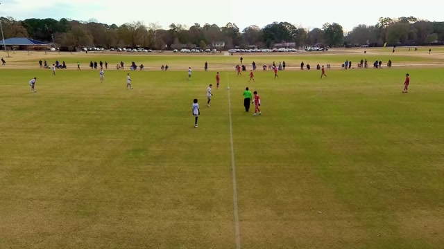NCFC Youth 11 (U15) NCFCY Gold North vs B2011 RUSH