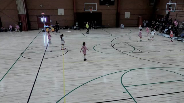MDS Futsal 2018G Winter 2026  vs VSA2