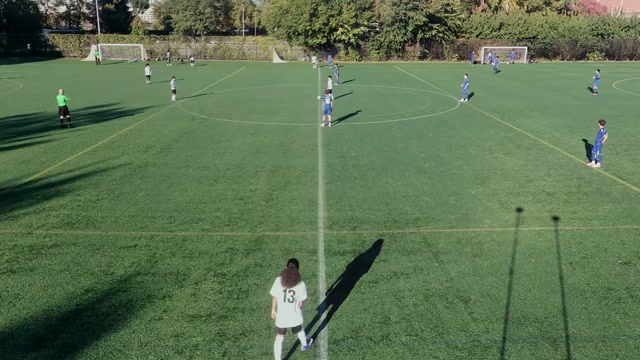south bronx united vs Town Of Poughkeepsie Thunder 12 youth soccer highlights