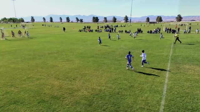 Albion B15 EA vs Albion AV B16