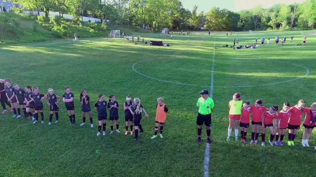 Winchester Red Stars vs Wellesley Warriors