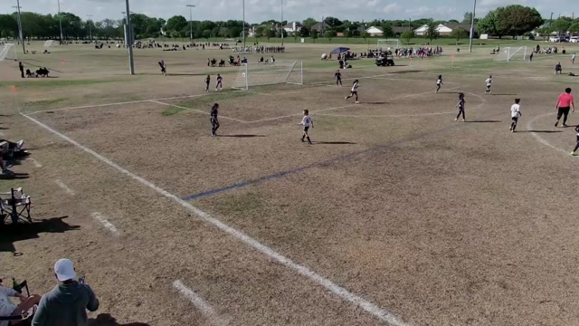 AlphaForms 17G vs Solar South 17g Adames