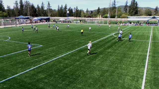 Oregon Surf 10B White vs OFA 10B Black