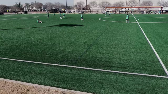 U14 Houston Academy vs PEARLAND SOCCER CLUB 2010 PREMIER 