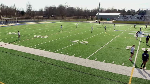 Lakeview JV HS vs Grand Ledge Girls - JV