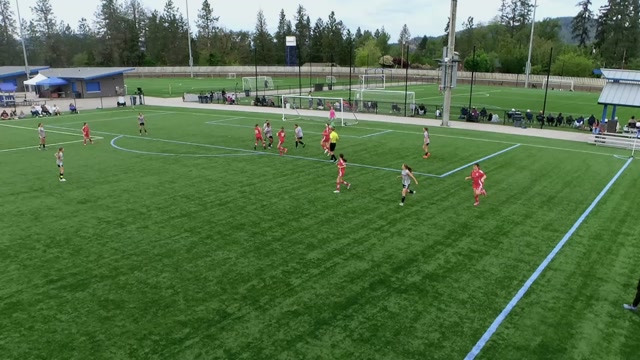 RV Timbers 14G White vs OFA 14G BLACK