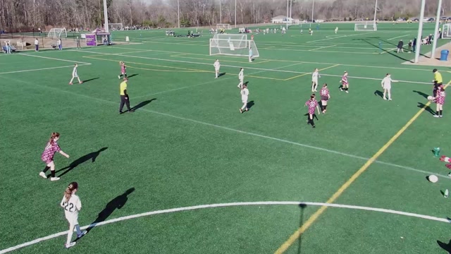 Charlotte Rise 11 vs *U11 Girls Crystal Palace - 2015