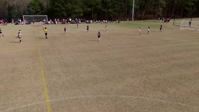 15 (11U) SASL Ladybugs G vs *U11 Girls Crystal Palace - 2015