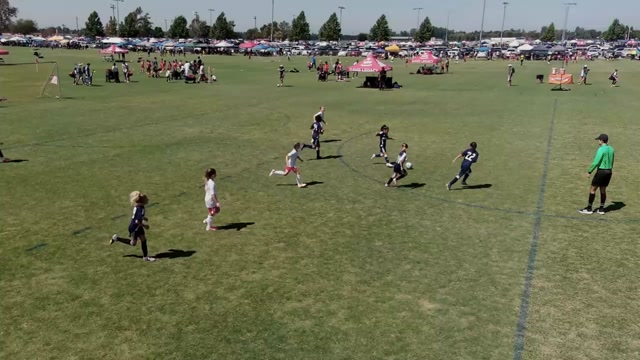 Mustang vs Elite 1